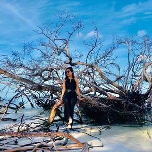 Meet your Posher, Hoài